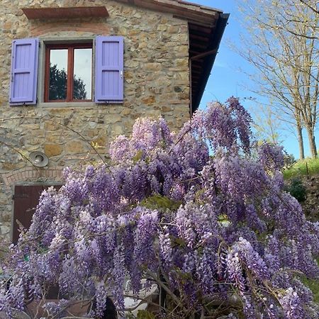 Antico Casale Il Fiorentino Montenero  Kültér fotó